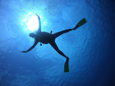 Barefoot Dive Center Cozumel thumb 4
